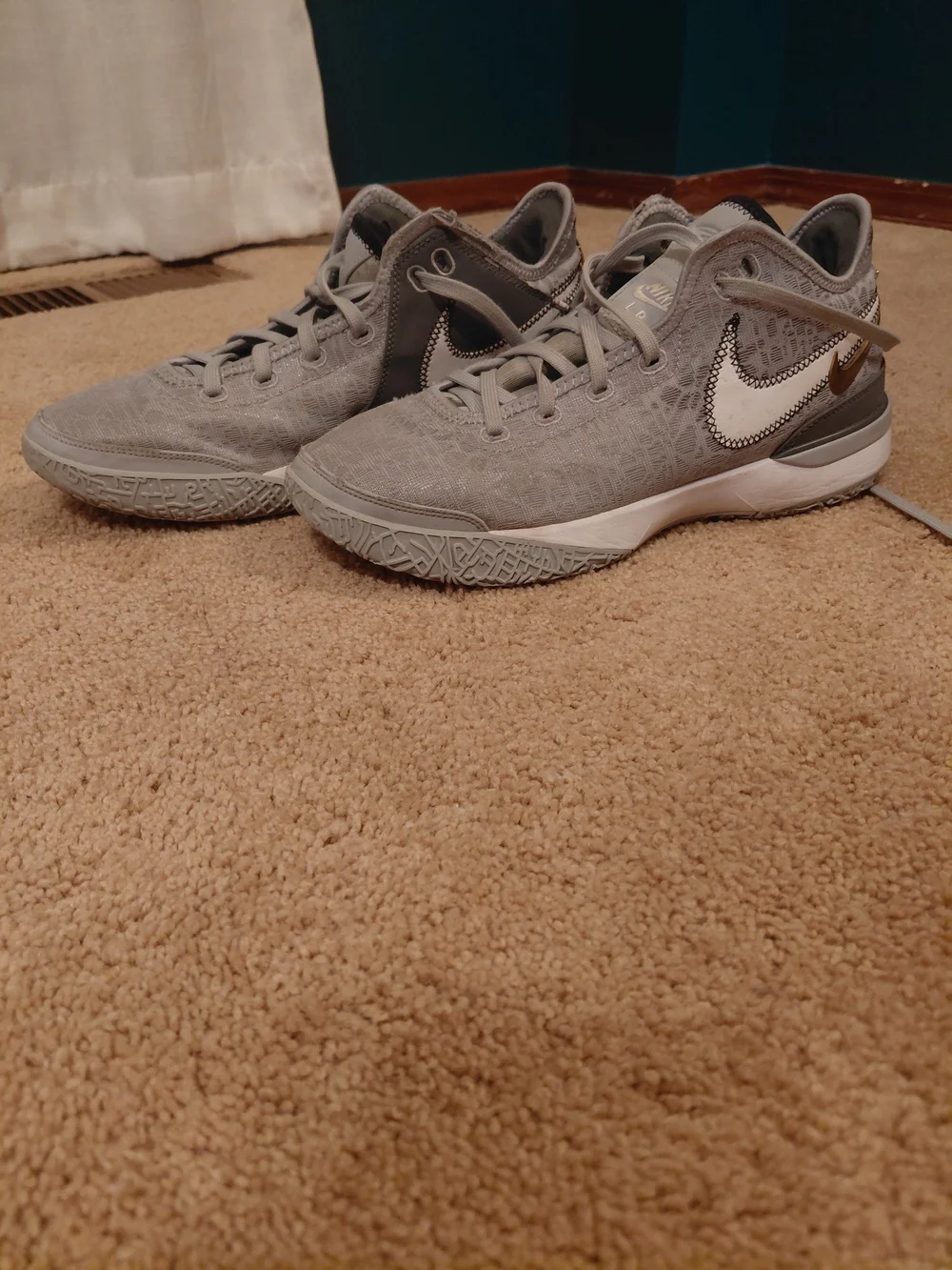 Nike Zoom Lebrons Wolf Size 10